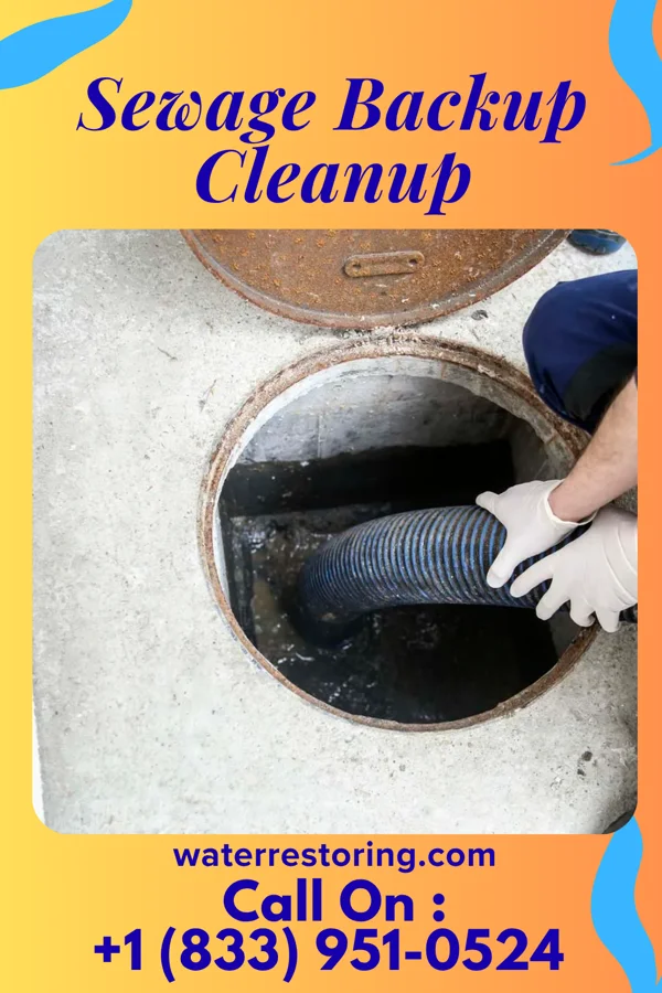 Sewage Backup Cleanup in Sheffield, IA